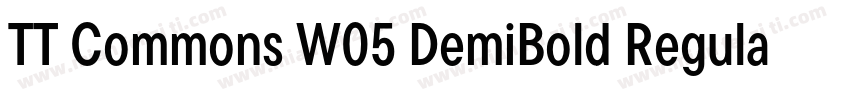TT Commons W05 DemiBold Regular下载字体转换